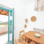 Anemela & Mykonos Apartament Agrari (Mykonos)